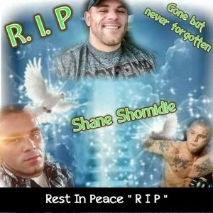 Meet your Posher, Misty